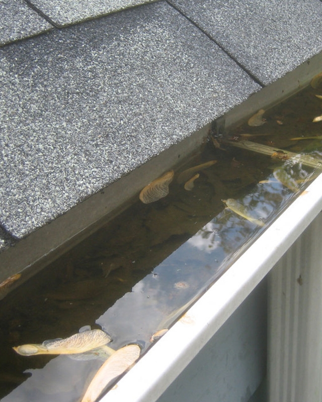 Box Gutter Repair Box Gutter Repair